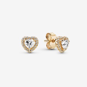 Gold Pandora Elevated Stud Earrings | TDUFQN-934