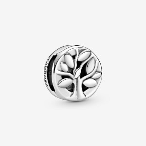 Sterling silver Pandora Family Tree Clip Clips | JMHGPW-761