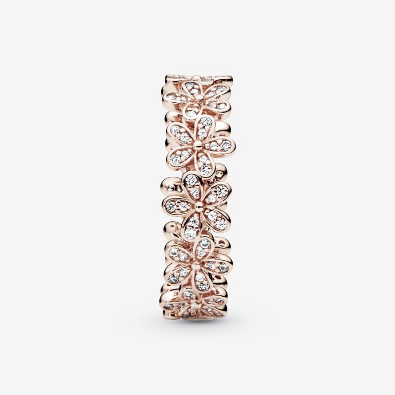 Rose gold plated Pandora Dazzling Daisy in & Clear CZ Band Rings | GZNUMY-480