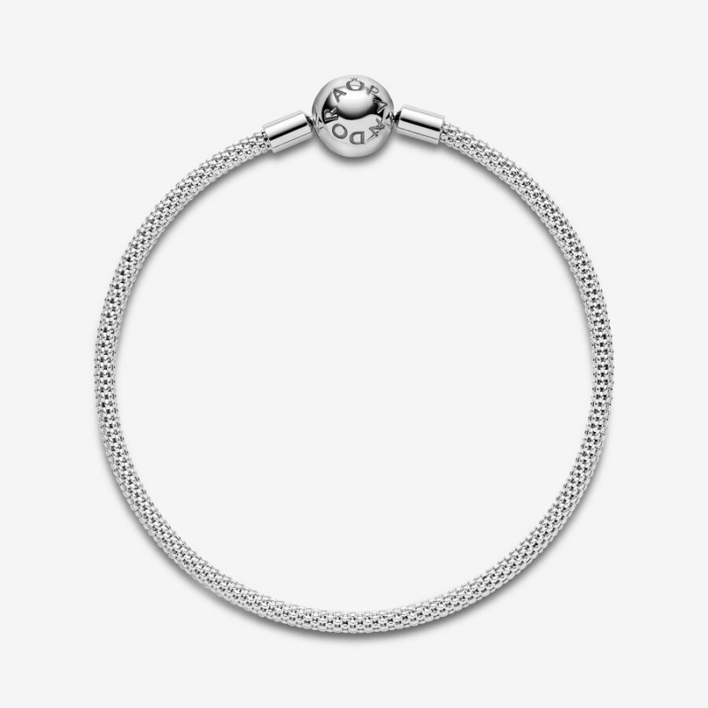 Sterling silver Pandora Mesh Charm Bracelets | IOAYPE-701