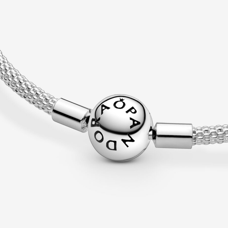 Sterling silver Pandora Mesh Charm Bracelets | IOAYPE-701